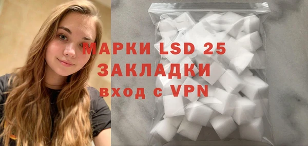 ГАЛЛЮЦИНОГЕННЫЕ ГРИБЫ Абаза