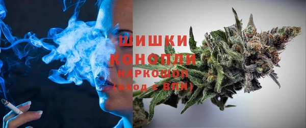 ГАЛЛЮЦИНОГЕННЫЕ ГРИБЫ Абаза